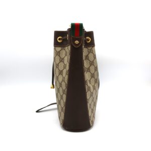 Page of Gucci GG Canvas Web Sherry Line Tube Bag